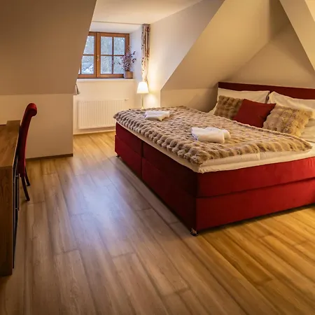 Отель Resort Nova Vcelnice Nova Vcelnice